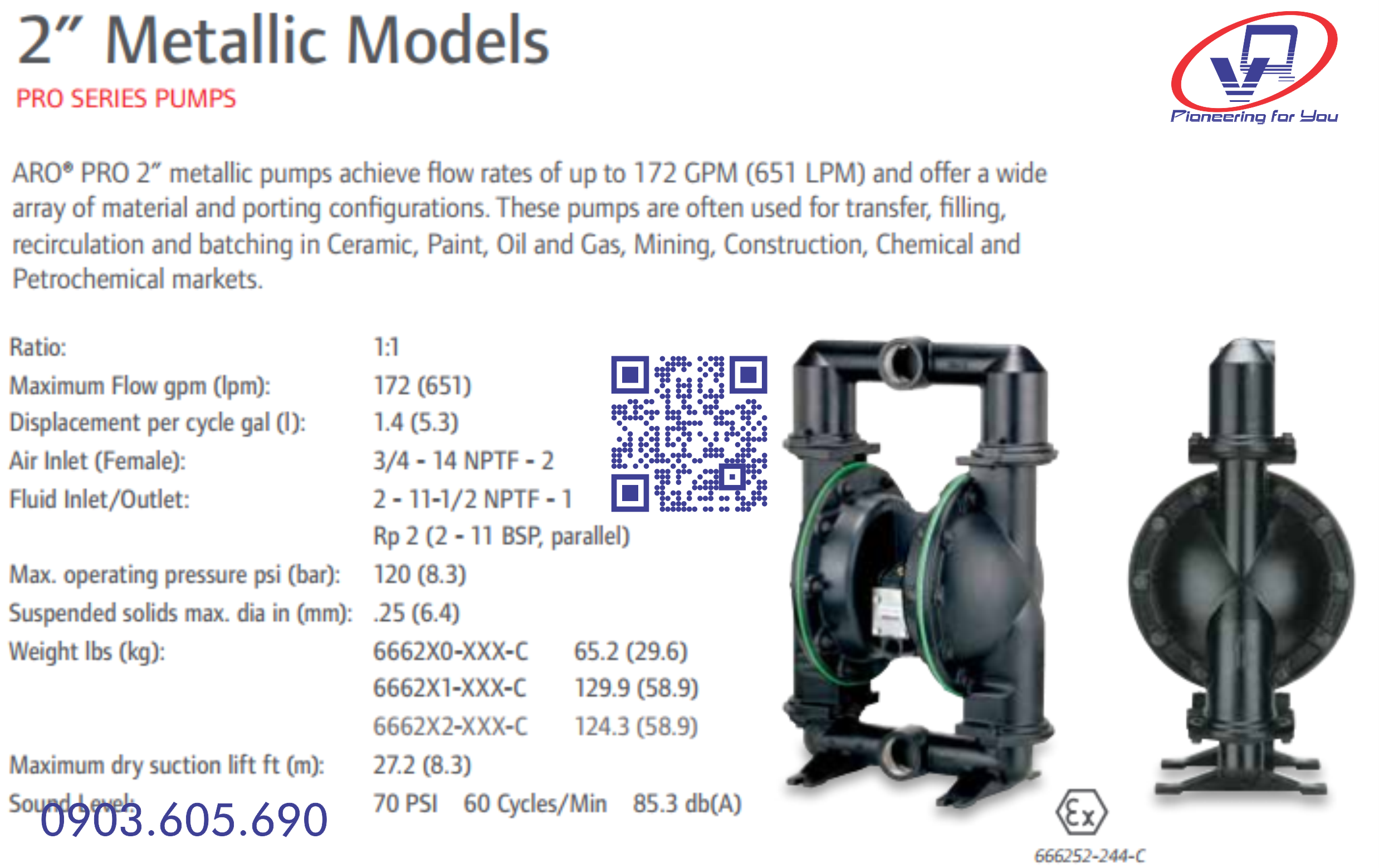 Bơm màng ARO 666270-EEB-C