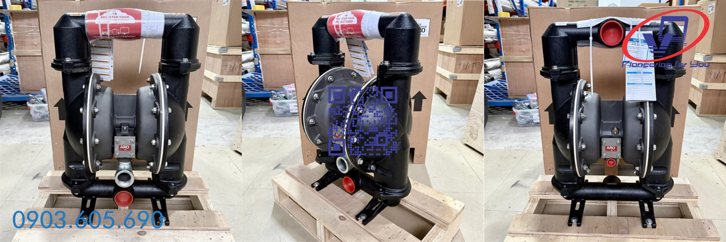 Bơm màng ARO 666250-EEB-C