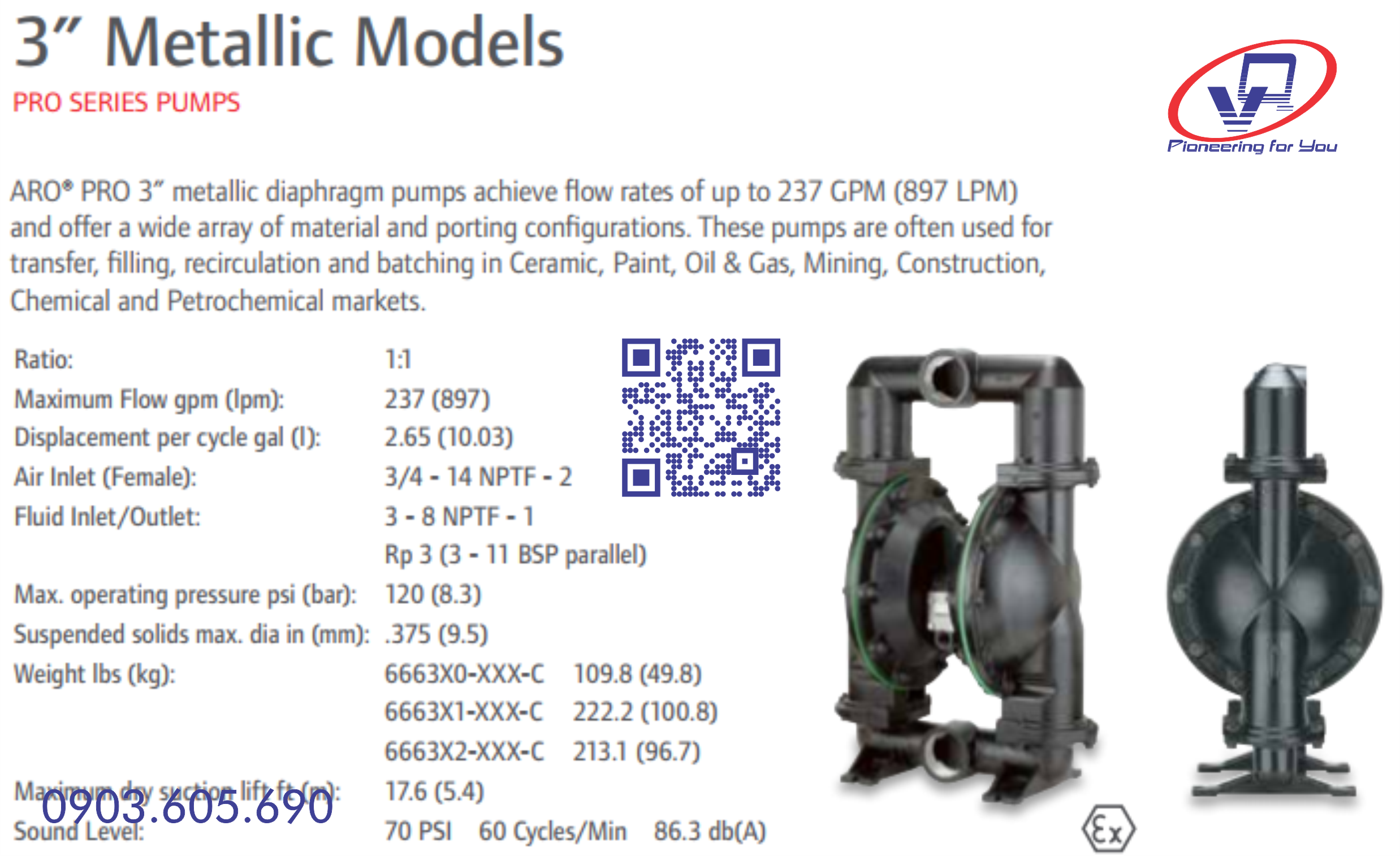 Bơm màng ARO 666300-G22-C